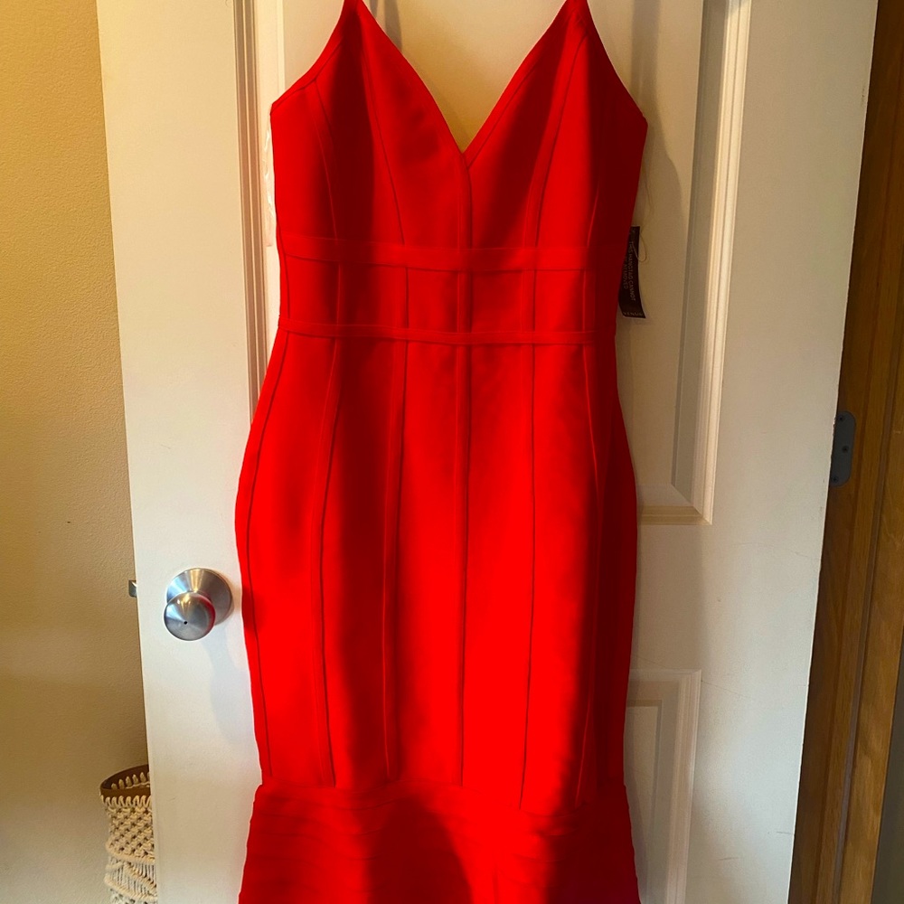 VENUS Bodycon Dress